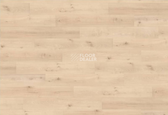 Ламинат Haro Tritty 90 ДИЗАЙН ВУД ГАРМОНИЯ 535237 фото 1 | FLOORDEALER